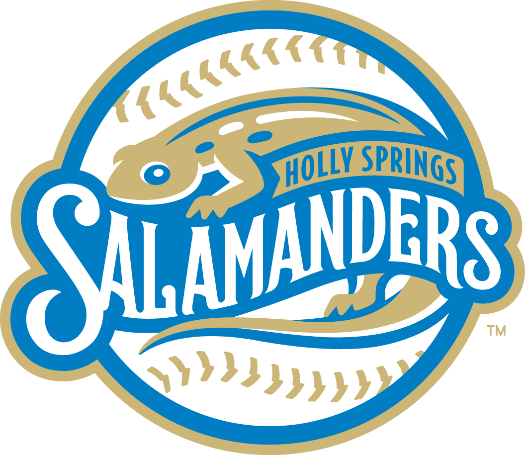Holly Springs Salamanders iron ons